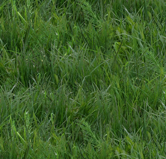 Grass - Landscape Medley Cotton Print Fabric - End of Bolt 65cm