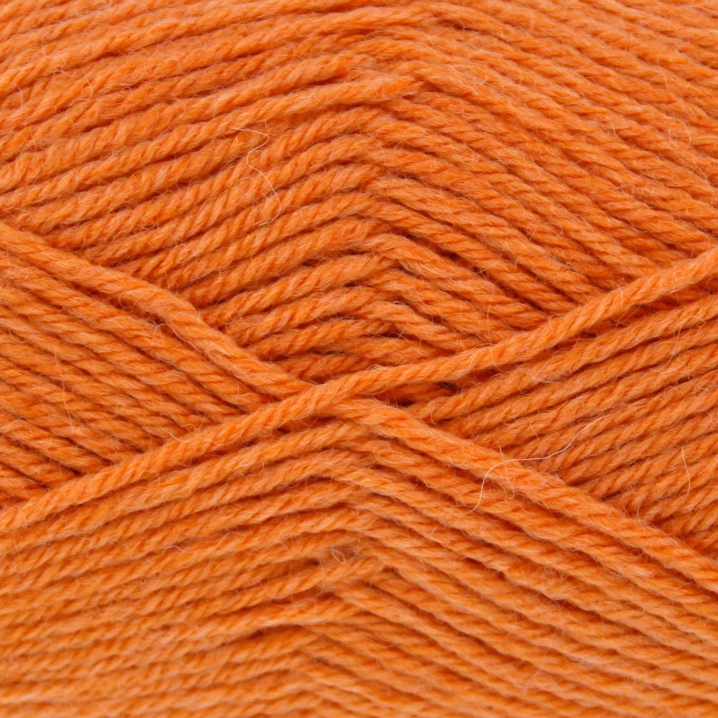 Orange Pippin - Orchard DK