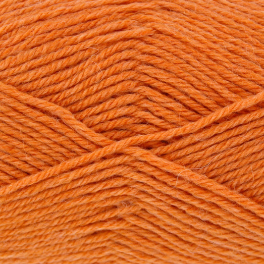 Orange Pippin - Orchard DK