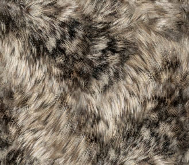 Grey Fur - Majestic Wolves Cotton Print Fabric (Not faux fur) - End of Bolt 90cm
