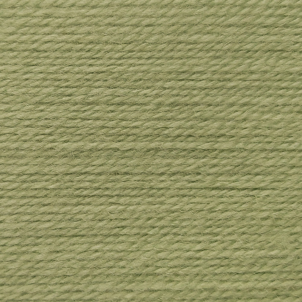 Sage (A213) - Croftland Aran 200g