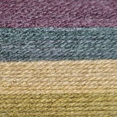 Bramble Bush (AC06) - Aurora Chunky 100g