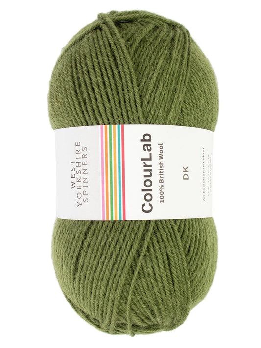 Fern Green 1207 - ColourLab DK Yarn - West Yorkshire Spinners