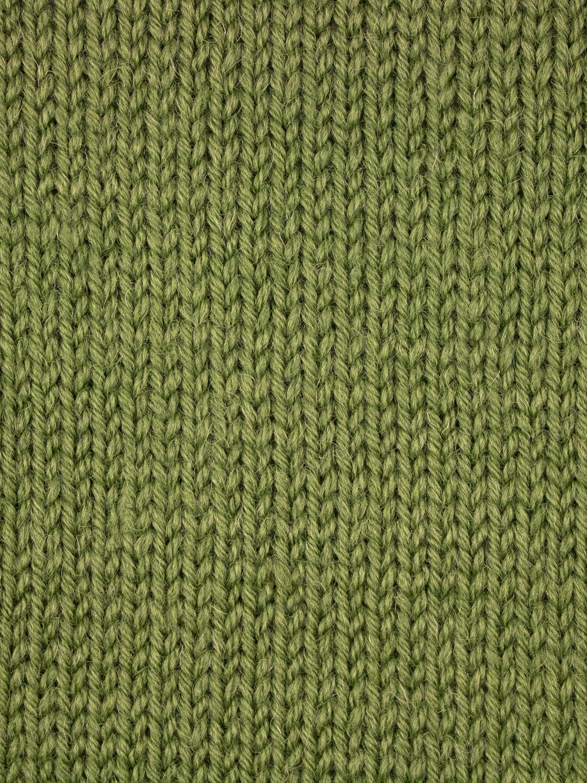 Fern Green 1207 - ColourLab DK Yarn - West Yorkshire Spinners