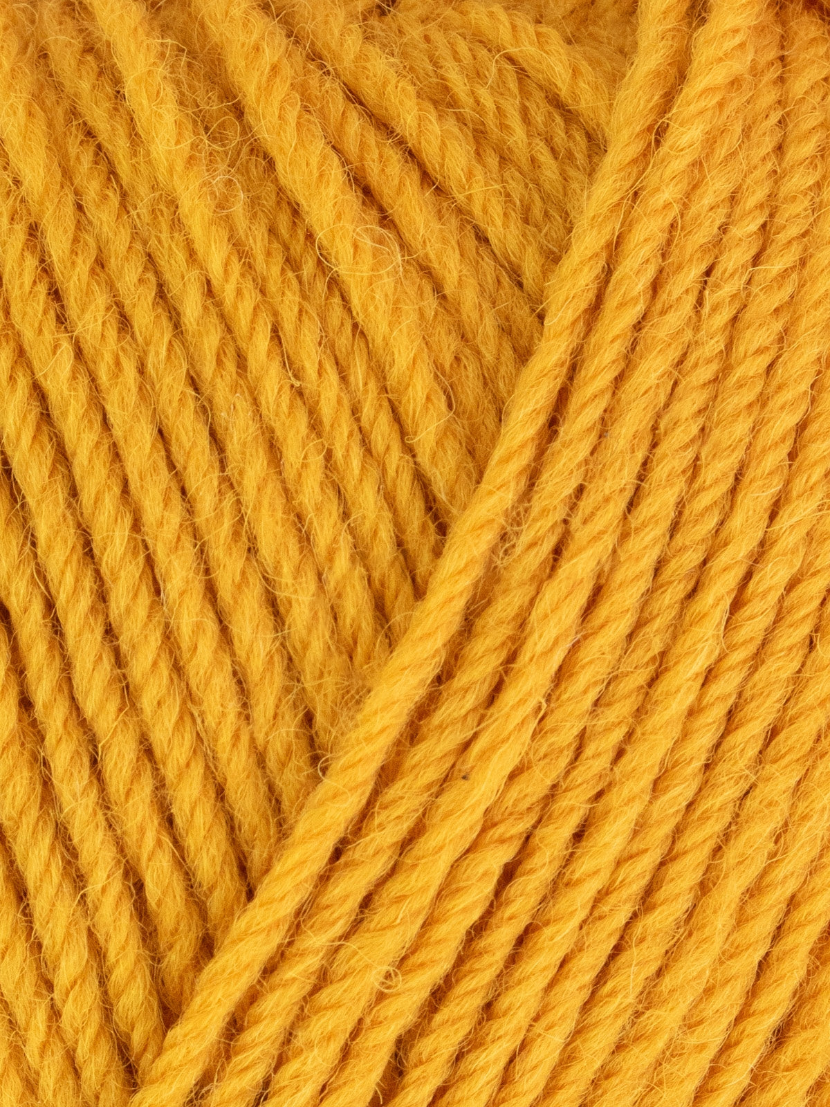 Mustard Yellow 1205 - ColourLab DK Yarn - West Yorkshire Spinners