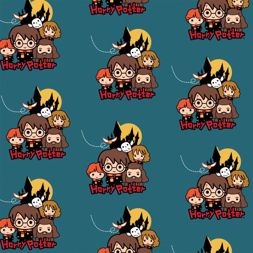 Harry Potter Fleece - Group Pose