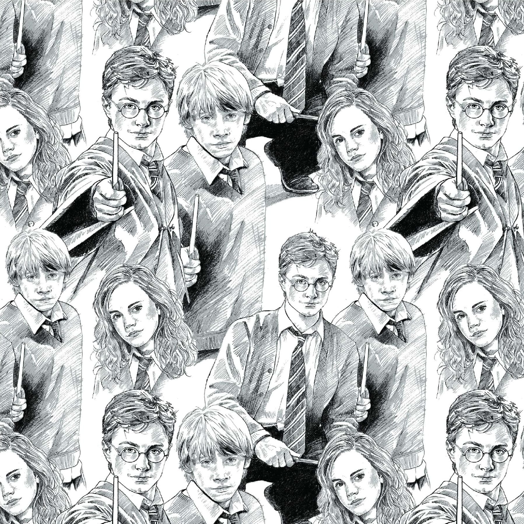 Harry Potter Cotton Fabric - Sketched Trio