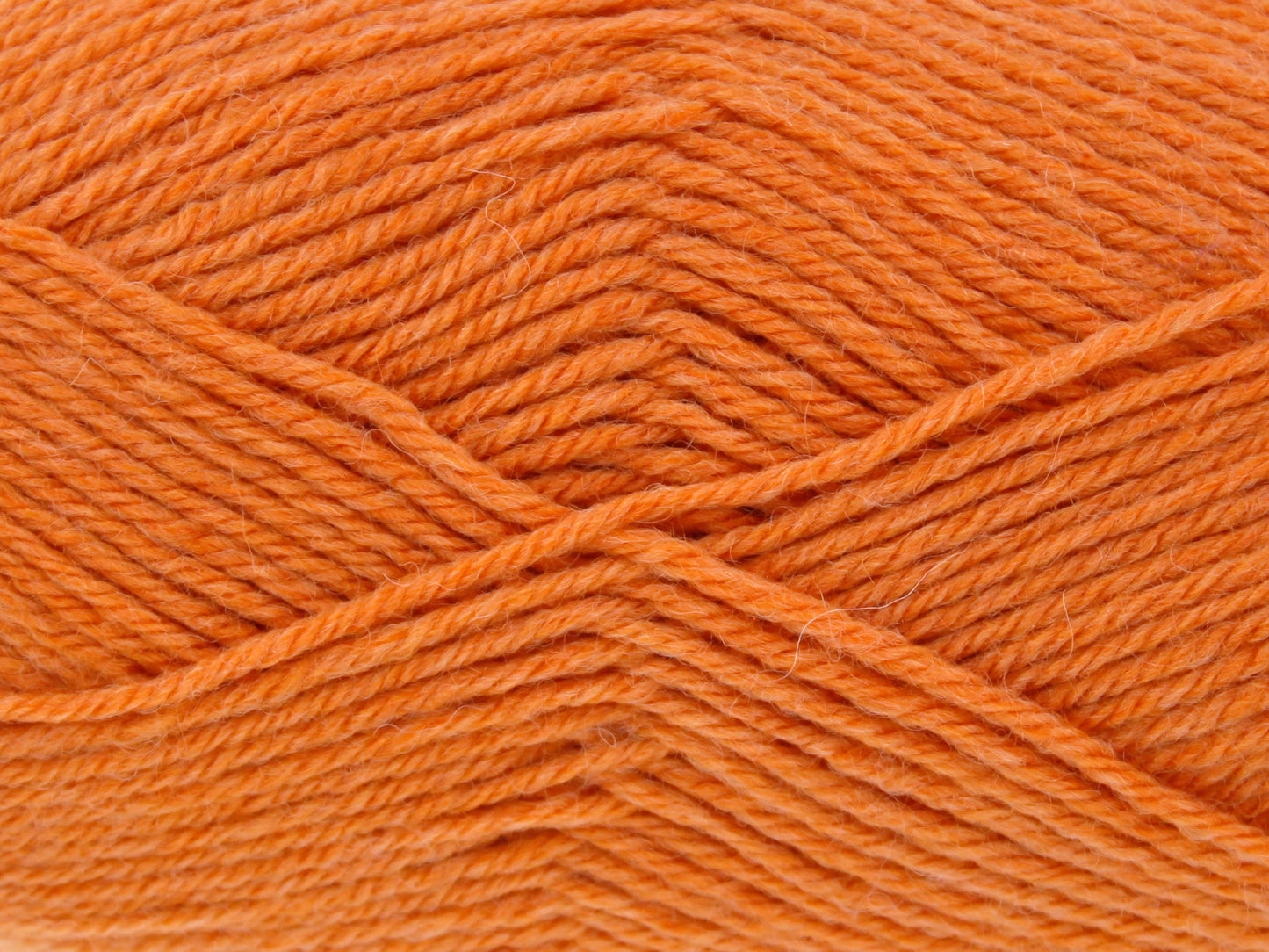 Orange Pippin - Orchard DK