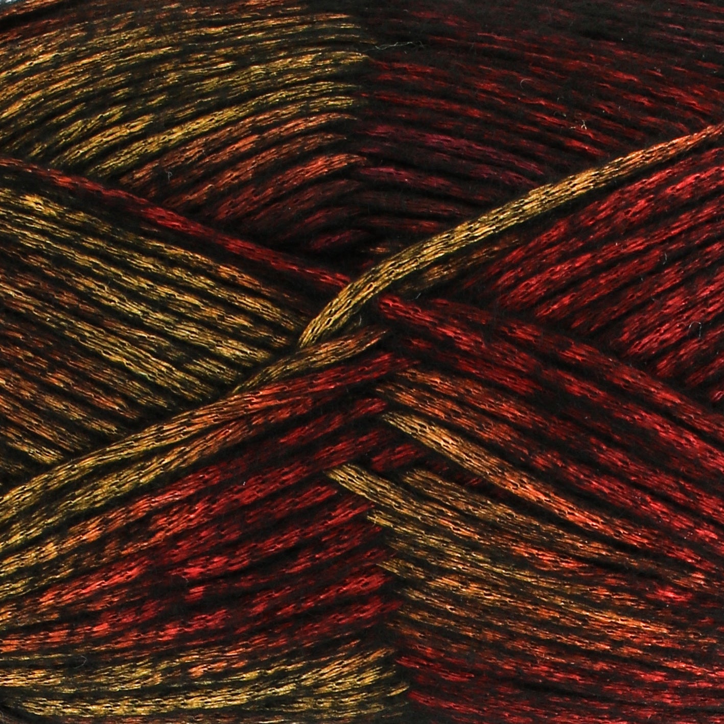 Tiger Beetle - Firefly Aran