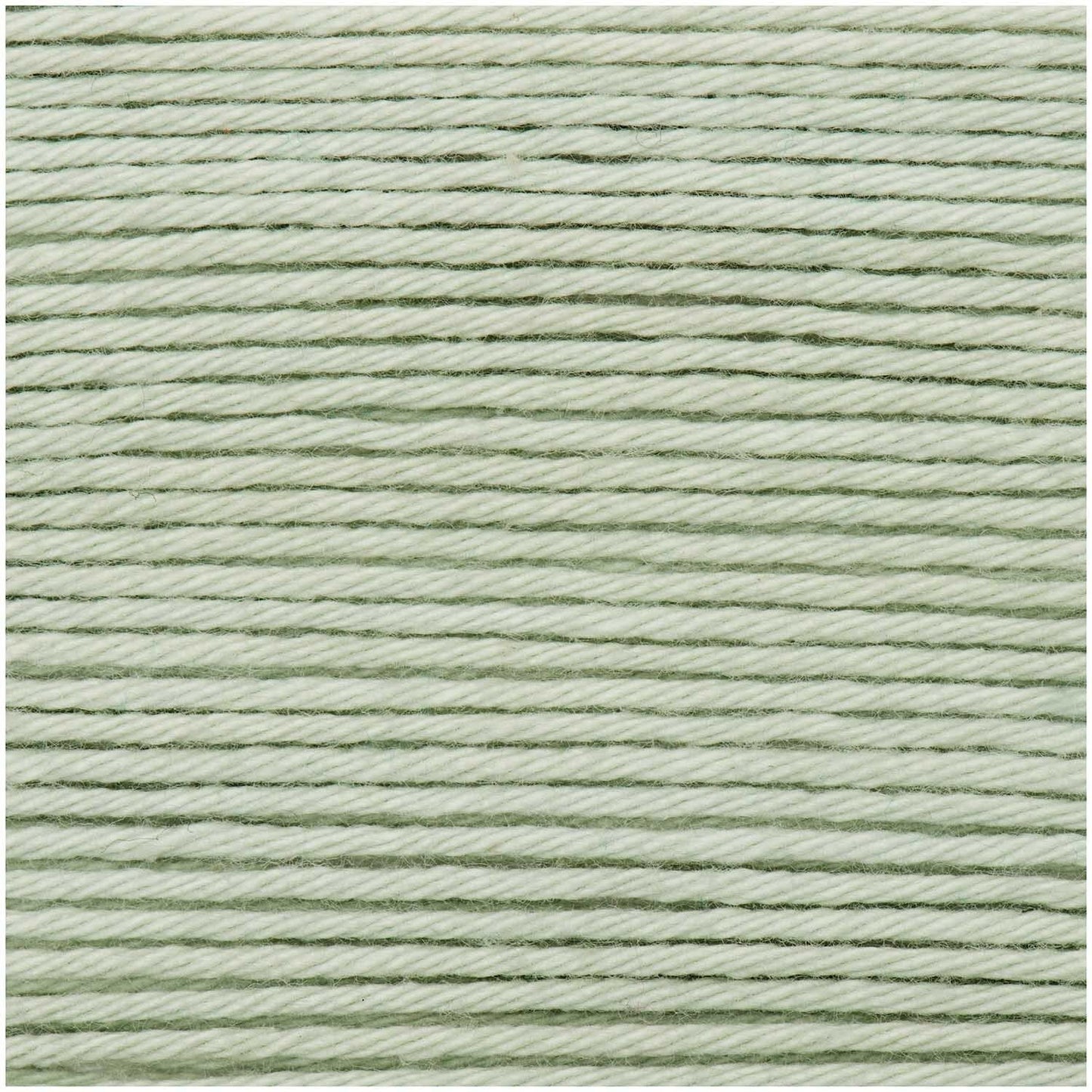 Mint (041) - Ricorumi DK 25g