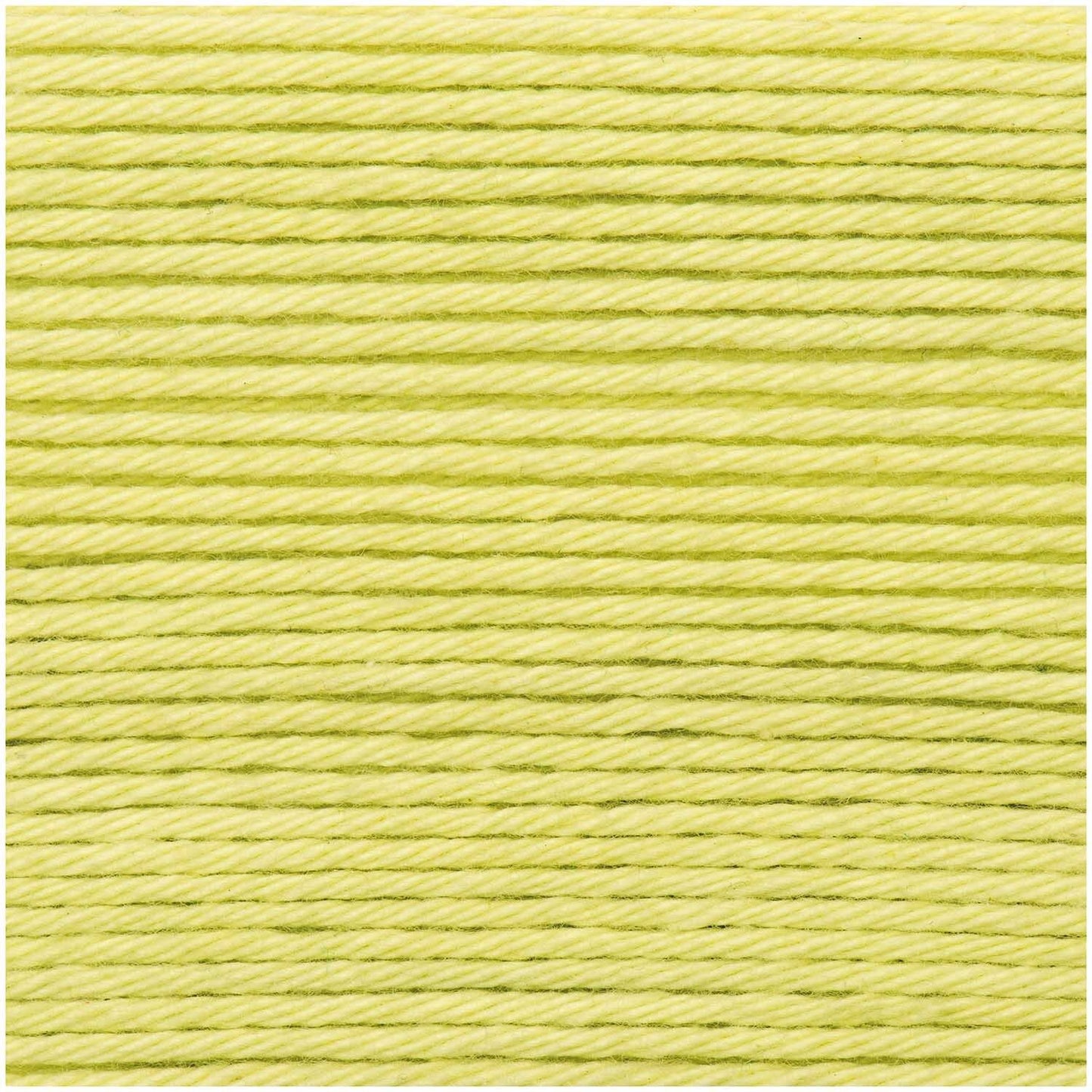Light Green (046) - Ricorumi DK 25g