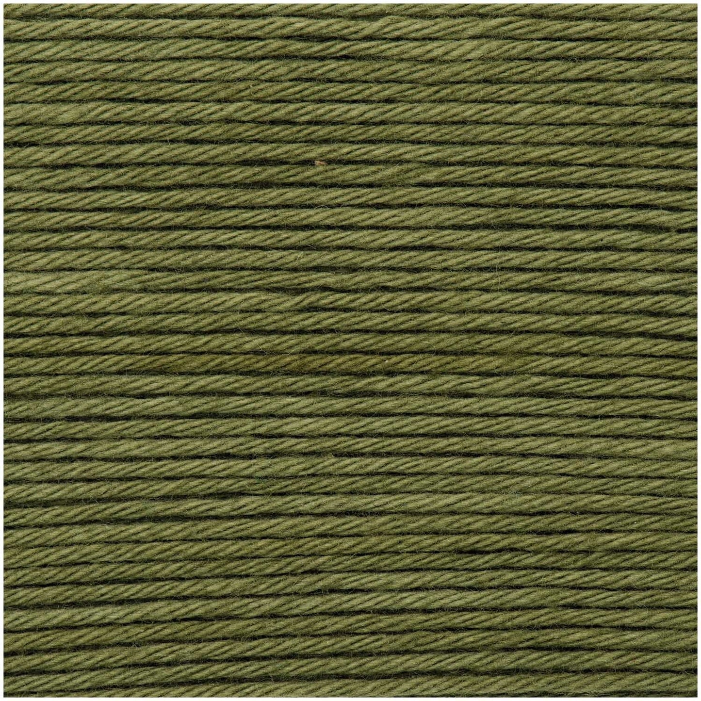 Olive (048) - Ricorumi DK 25g