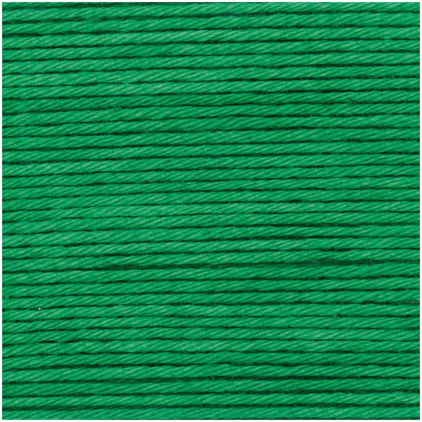 Green (049) - Ricorumi DK 25g