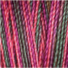 Shade 4039 - Variegated Cotton 30 Thread 300m