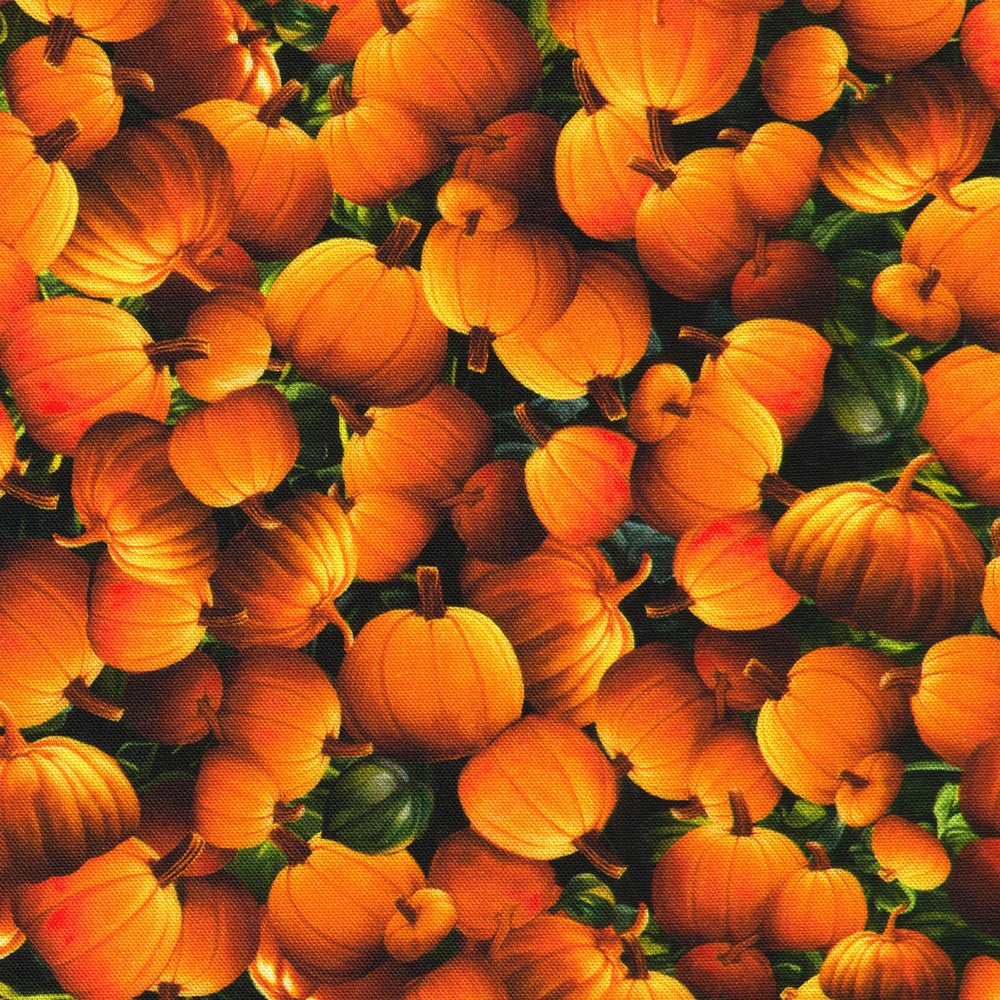 Allover Pumpkins - Moon Spell Cotton Print Fabric - per half metre