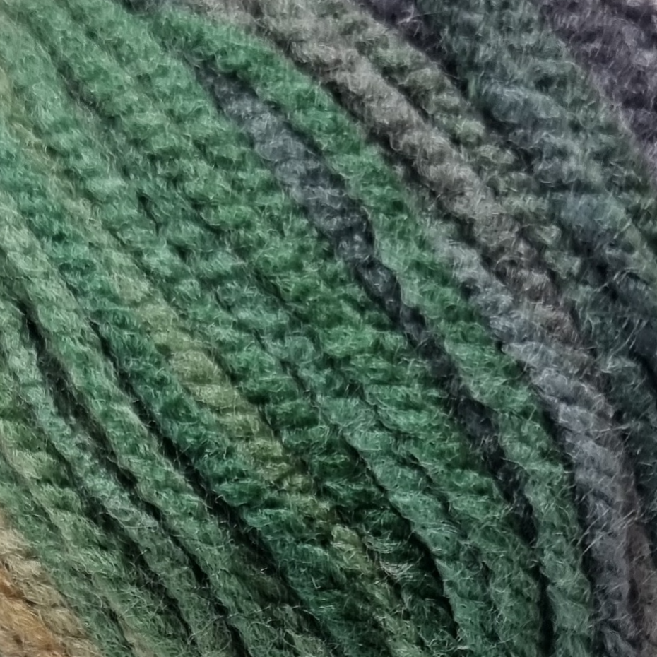 Mossy Meadow - Cygnet Colour Rush Chunky 100g