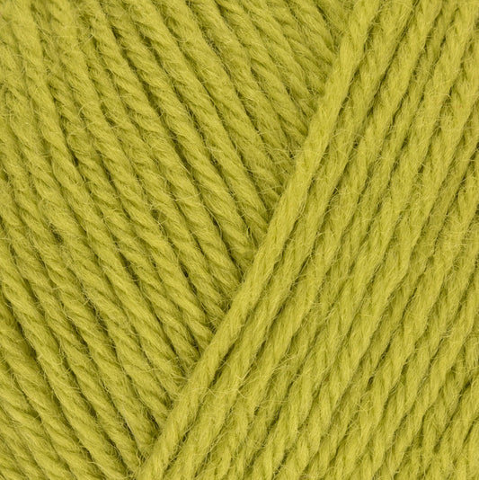 Pear Green 186 - ColourLab DK Yarn - West Yorkshire Spinners