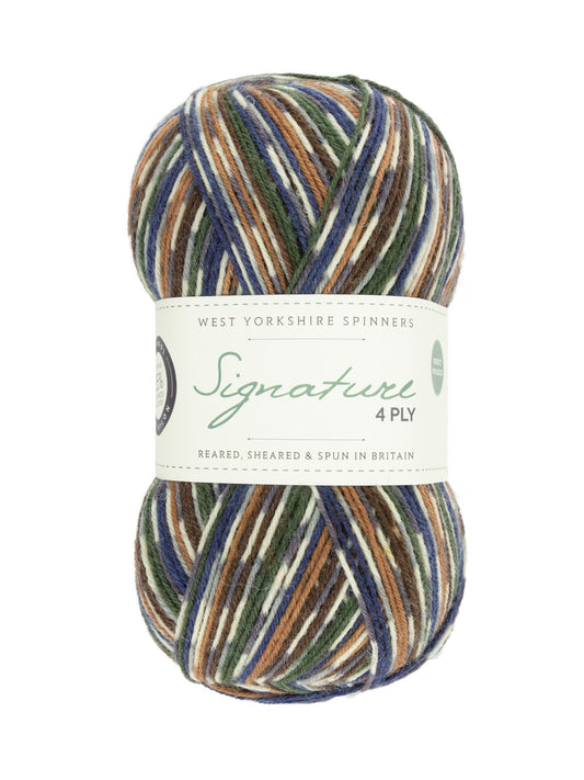 Mallard 862 - Signature 4ply Yarn - West Yorkshire Spinners