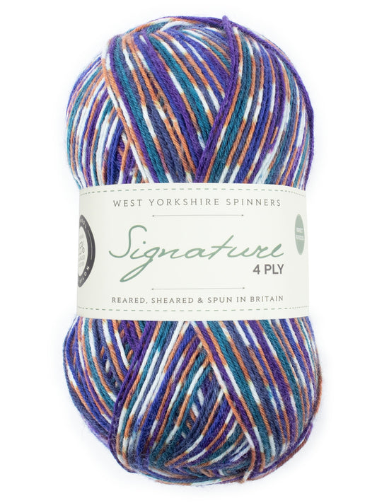Starling 1169 - Signature 4ply Yarn - West Yorkshire Spinners
