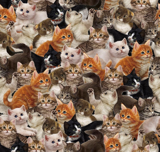 Packed Kitties - Literary Kitties Cotton Print Fabric - per half metre
