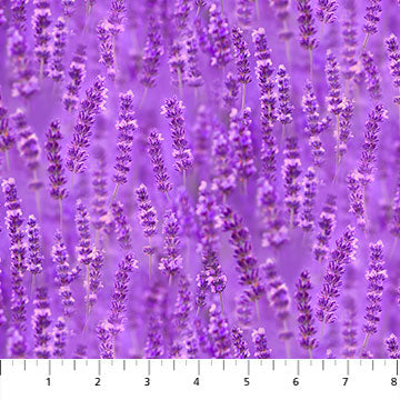 Lavender Fields Cotton Print - Lavender on Lilac