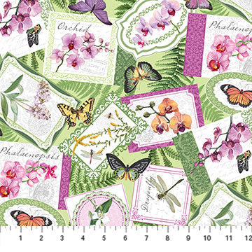 Orchids in Bloom Cotton Print - Medallion Toss 
