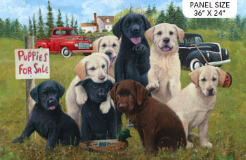 Puppies for Sale Panel - Puppies for Sale Cotton Print Fabric